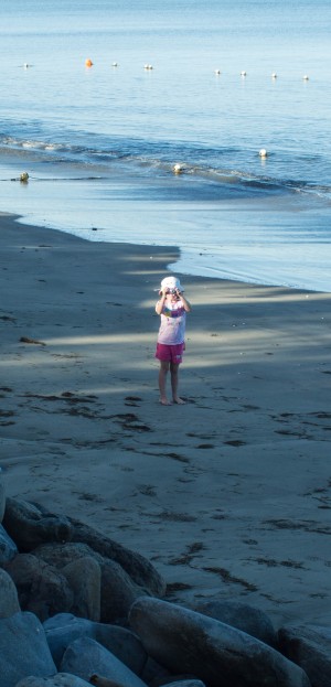 Little photographer II